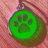 🏁👥🐾VorGruppe SingleBörsePetPlay🐾💍🐶