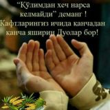 ஜ۩۞۩ஜ Zͦaͦkͦaͦzͦ uͦsͦaͦ nͦoͦmͦeͦrͦlͦaͦrͦ☬▄▀▄▀▄▀