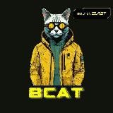 BCAT