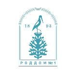 Родильный дом №1 СПб