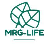 MRG-life