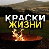Краски Жизни