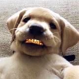 Ювелирка Рейзера💎