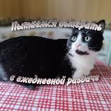 Привет пукай нюхай