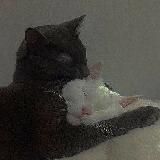 👁️ милый канал 👁️