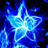 Мир иллюзий