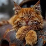 Не пропусти главное🧌🦥🦦