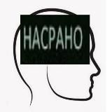 механізми і ритуали