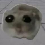 Sad Hamster (PORTAL)