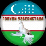 Голуби Узбекистана