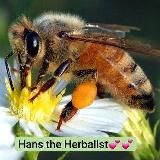 sonnengartenOrganics