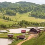 Маральник Никольское Чат