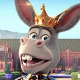 Donkey King / Channel