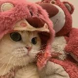 кошачий гороскоп