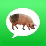 Комменты свинособак