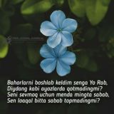 Jurnalistik Muhokama