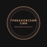 Chat•ГРИБАНОВСКИЙ•СМИ