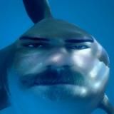 ЖК Малая Охта Чат | Едовой чат | Обьявления