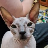 Диалоги 🐈‍⬛