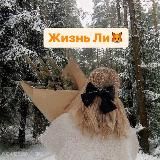 Жизнь Ли 🦊
