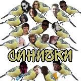 🐥 Синички 🐣