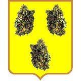 Мовить Керюхін