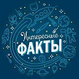 Интересные факты