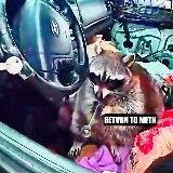 I'm schizophrenic and I have a gun