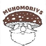 🍄Питательные добавки для тела и разума