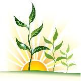 ПсиКластер|Ты в порядке!🏂