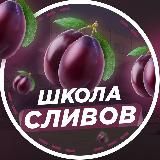 🏫Школа Сливов | ОГЭ ЕГЭ 2022-2023