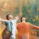 The Time of Fever - Bi-Verse