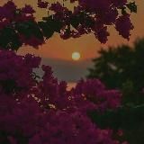 𝑩𝒙𝒕𝒚𝒓𝒗'𝒔