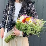 lina’s salvation 🕊️