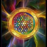 Афиша - ЗОЖ☯️&TRAVEL