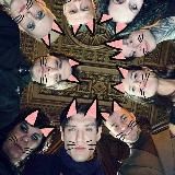 🩸Битва котиков🩸