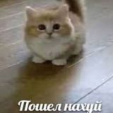 ыа