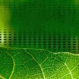 Generative Deep Nets