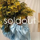 SOLDOUT | ЖЕНСКАЯ ОДЕЖДА