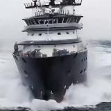 ⚓️ Морские вакансии | Shipping Jobs