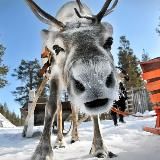 ХМАО инсайд | КАНАЛ