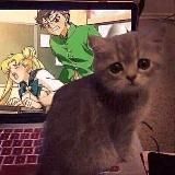 Конкурсы pszhyzzsosq’a