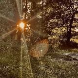 Kanal Tierkommunikation Vincent ✨ befreie-deinen-geist