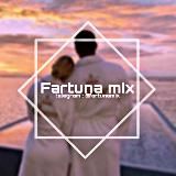 ғᴀʀᴛᴜɴᴀ ᴍɪx