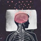 Дневник снов | Блог сомнолога Кораблина