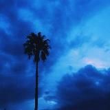 𝔼𝕊ℂ𝕆𝔹𝔸ℝ 💸