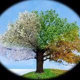 Министерство социальной защиты и семейной политики Тамбовской области