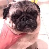 Погнали сегодня