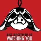 Аранарочная (GI | HSR | ZZZ | ВАХА? 👀)