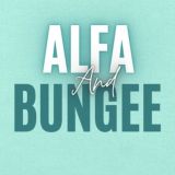 ALFA&BUNGEE студия